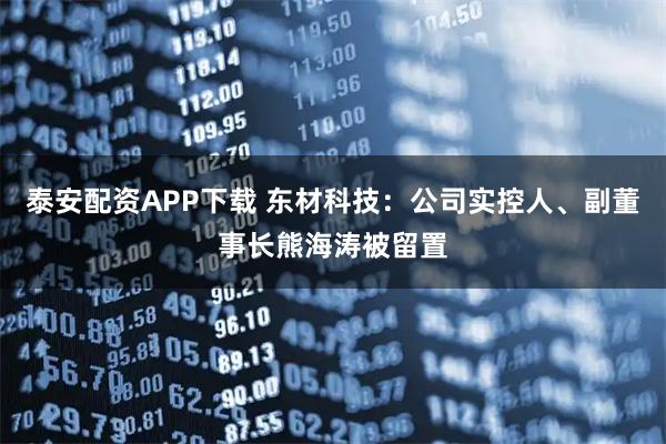 泰安配资APP下载 东材科技：公司实控人、副董事长熊海涛被留置