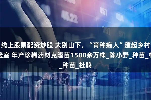 线上股票配资炒股 大别山下，“育种痴人”建起乡村实验室 年产珍稀药材克隆苗1500余万株_陈小野_种苗_杜鹃