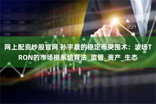 网上配资炒股官网 孙宇晨的稳定币突围术：波场TRON的市场根系培育法_监管_资产_生态