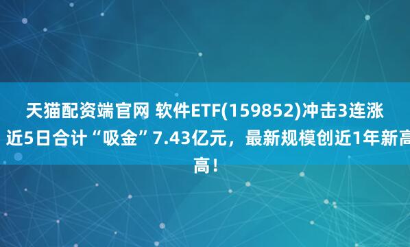 天猫配资端官网 软件ETF(159852)冲击3连涨，近5日合计“吸金”7.43亿元，最新规模创近1年新高！